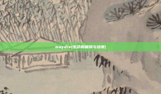 maydie(生命的脆弱与珍贵)